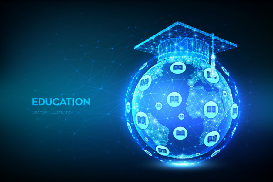 Public Sector Transformation: Bridging Digital Literacy Gaps to Foster Innovation